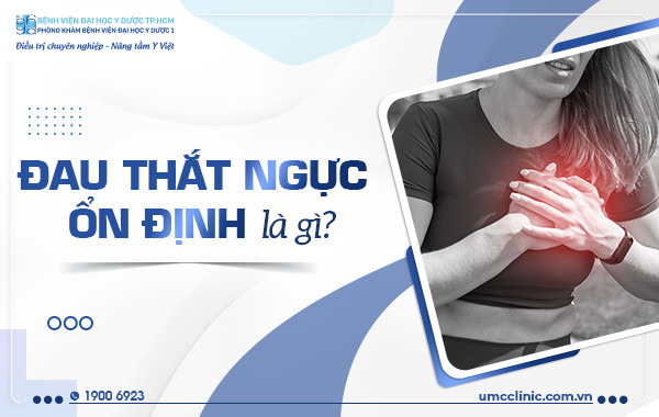 đau thắt ngực ổn định - Image 2