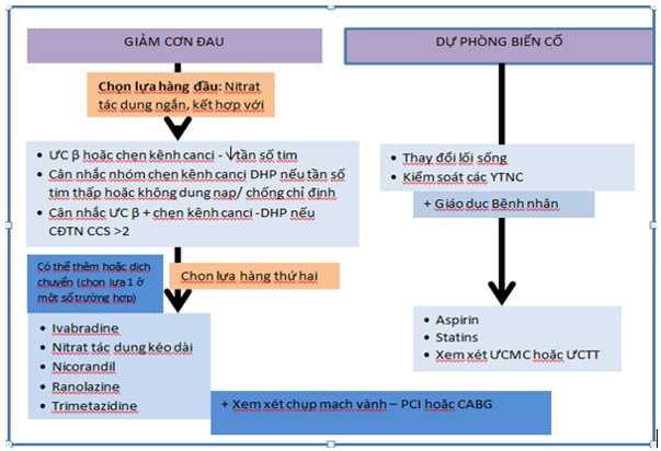 đau thắt ngực ổn định