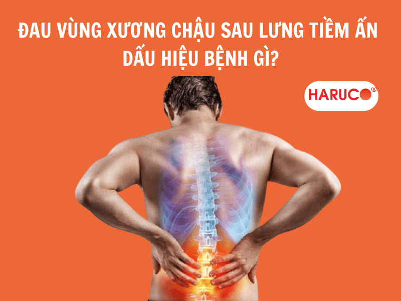 đau xương chậu phía sau - Image 4