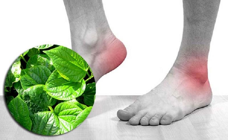 điều trị bệnh gout - Image 2