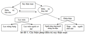 điều trị bệnh thận mạn