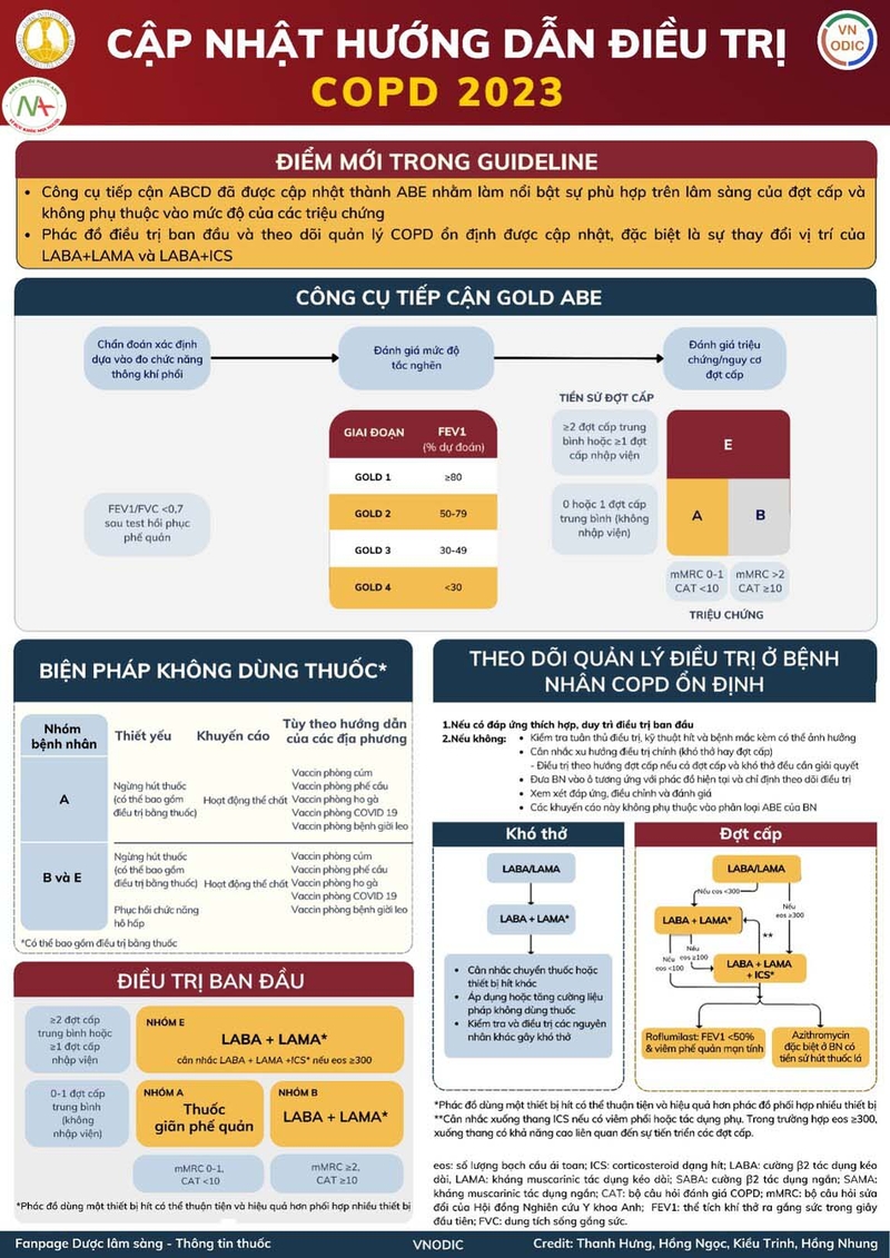 điều trị copd - Image 3