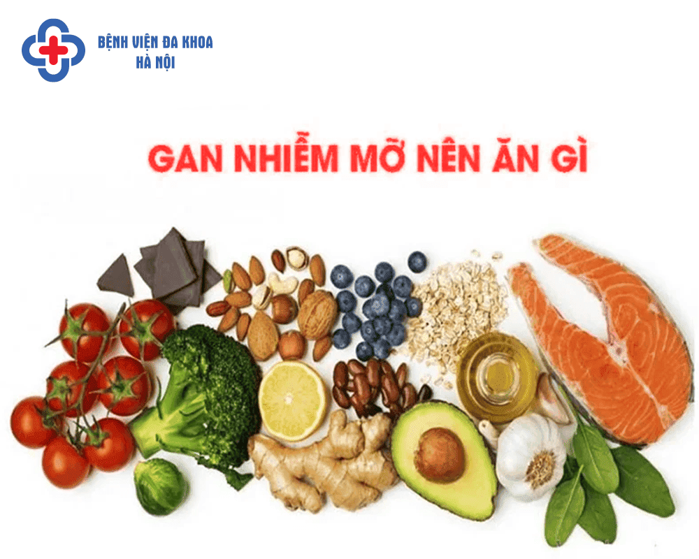 điều trị gan nhiễm mỡ - Image 4