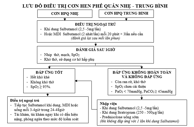 điều trị hen phế quản - Image 4