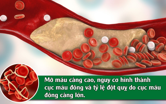 điều trị mỡ máu cao - Image 2