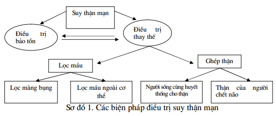 điều trị suy thận - Image 4
