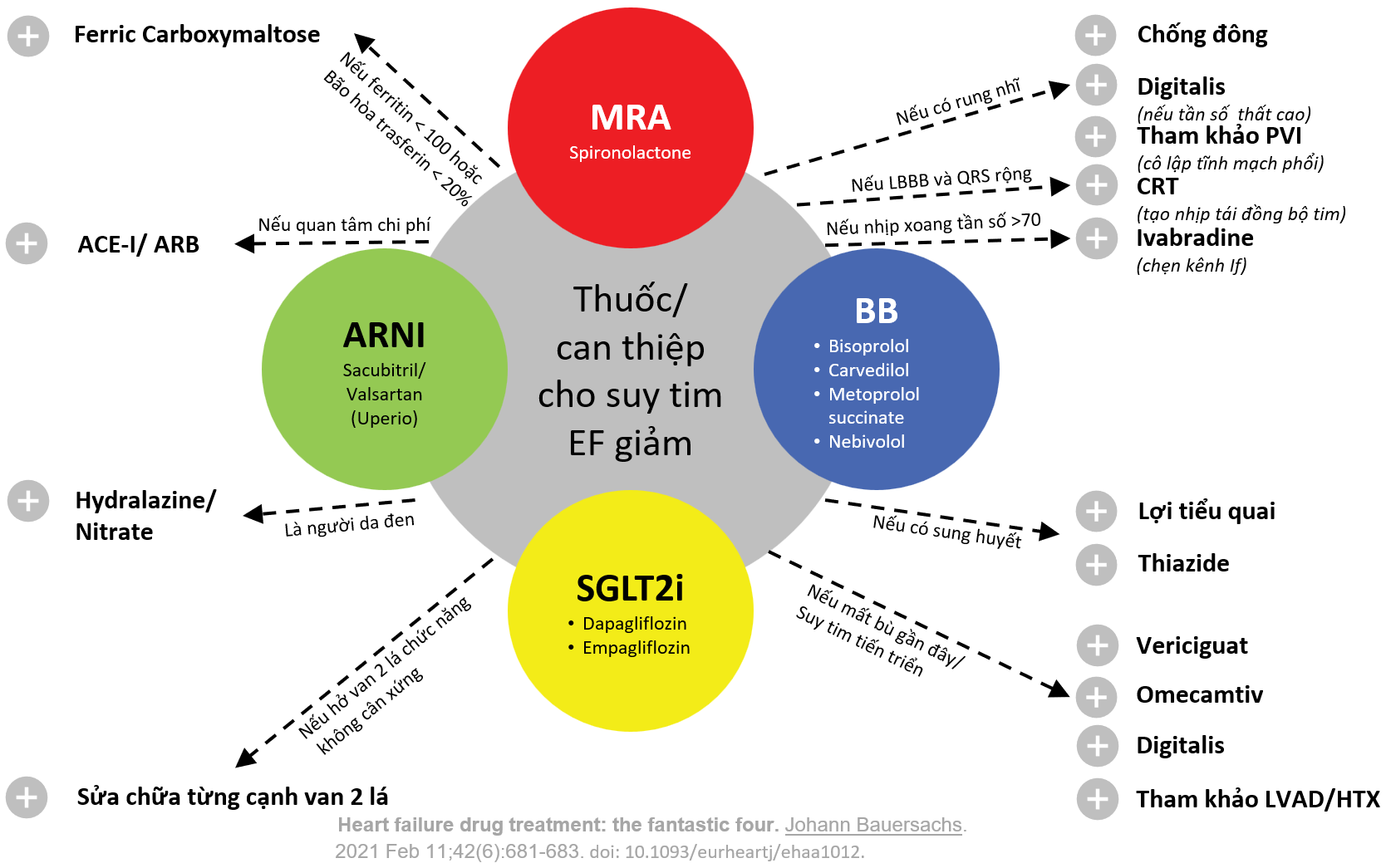 điều trị suy tim - Image 1