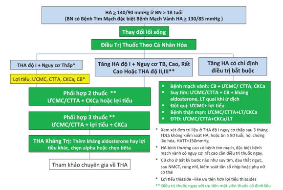 điều trị tăng huyết áp - Image 3