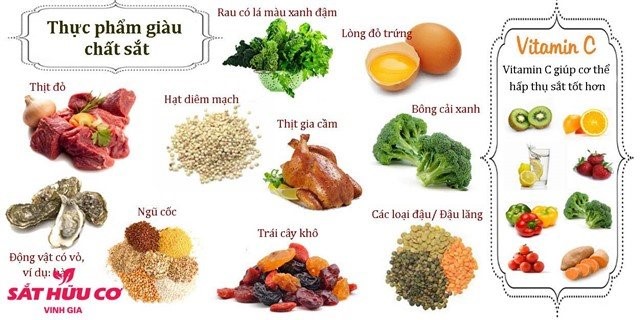 điều trị thiếu máu - Image 4