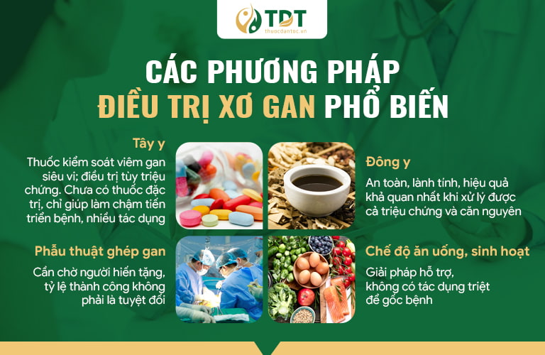 điều trị xơ gan - Image 2