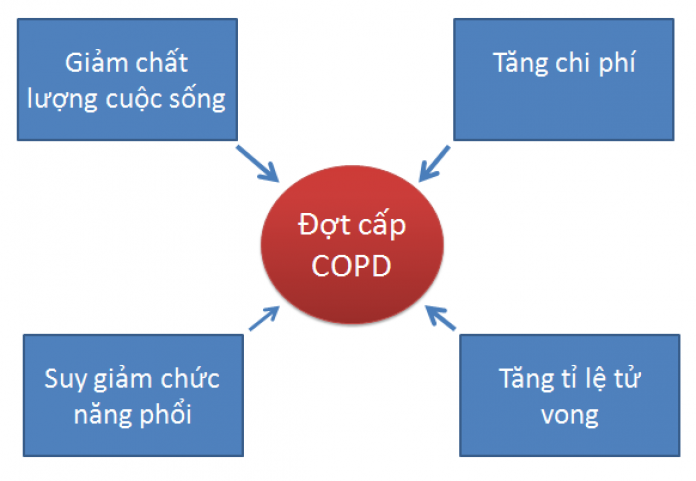 đợt cấp copd - Image 3