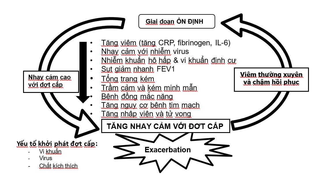 đợt cấp copd - Image 4