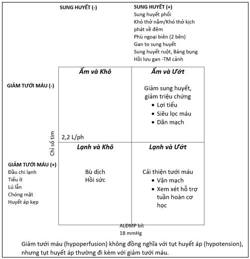 đợt cấp suy tim - Image 4