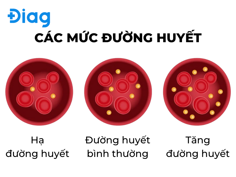 đường huyết dao động thất thường - Image 4