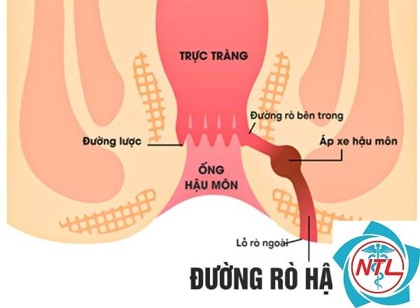 đường lược là gì - Image 1