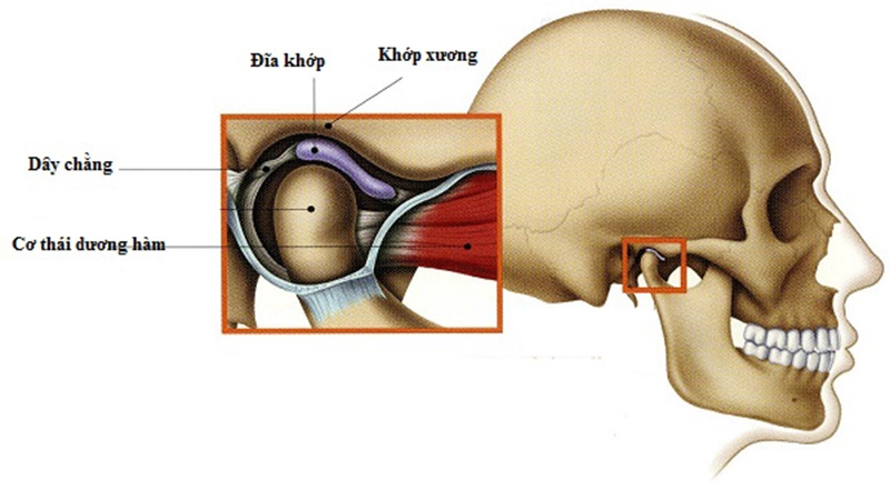 gãy cổ lồi cầu xương hàm dưới - Image 3