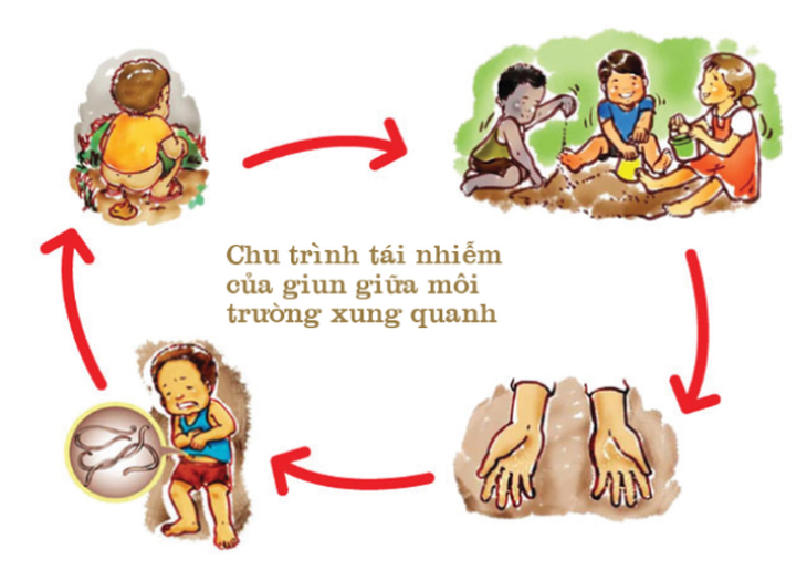 giun sán ở trẻ em - Image 5