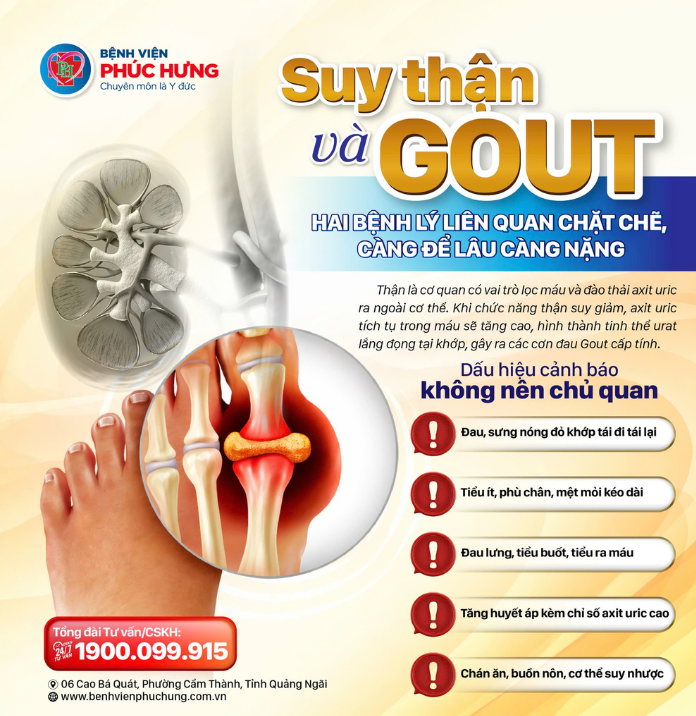 gout kèm tăng huyết áp - Image 3