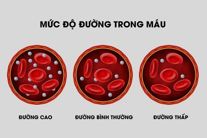 hạ đường huyết - Image 4