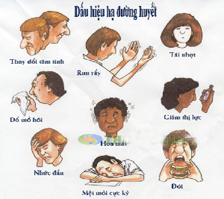 hạ đường huyết là gì - Image 4