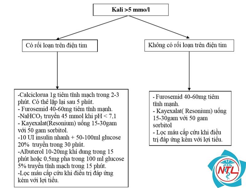 hậu quả tăng kali máu - Image 3