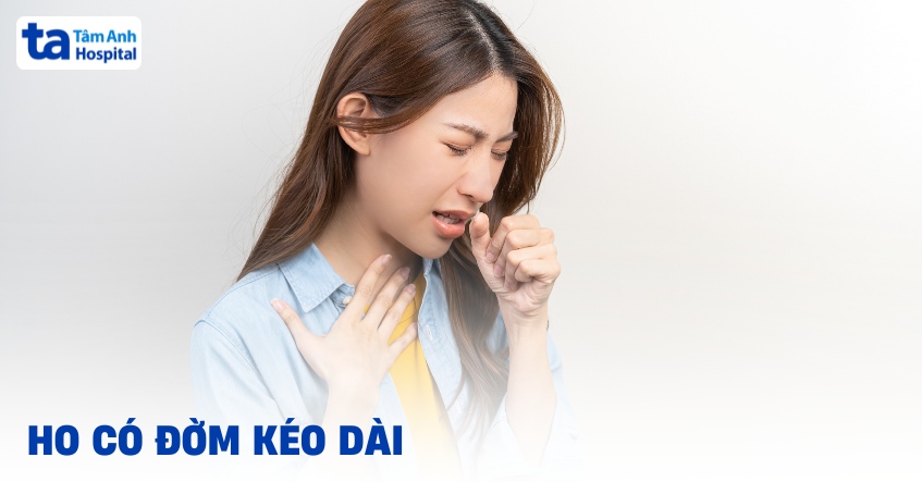 ho có đờm kéo dài ở người lớn - Image 5