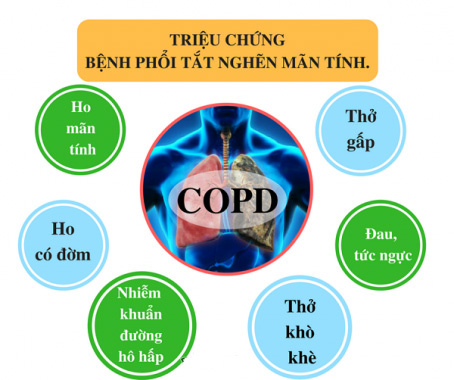 ho có đờm ở người bệnh copd - Image 5