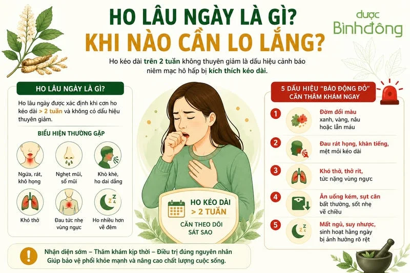 ho kéo dài cần khám khi nào - Image 3