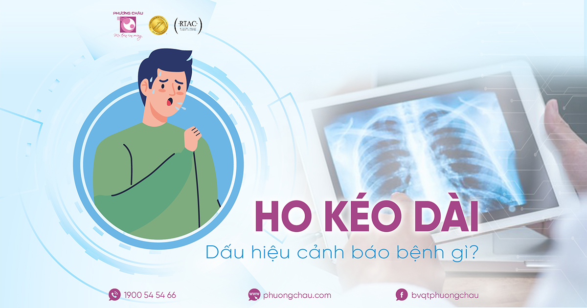 ho kéo dài là dấu hiệu bệnh gì - Image 5