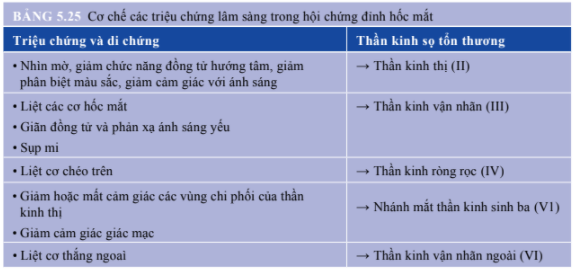 hội chứng đỉnh hốc mắt - Image 3