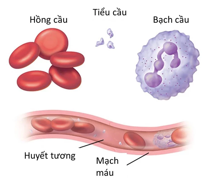 hoi chung evan - Image 4