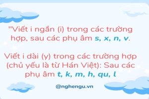 khi nào dùng y và i