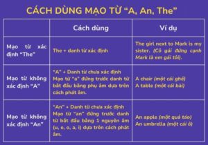 khi nào thì dùng the