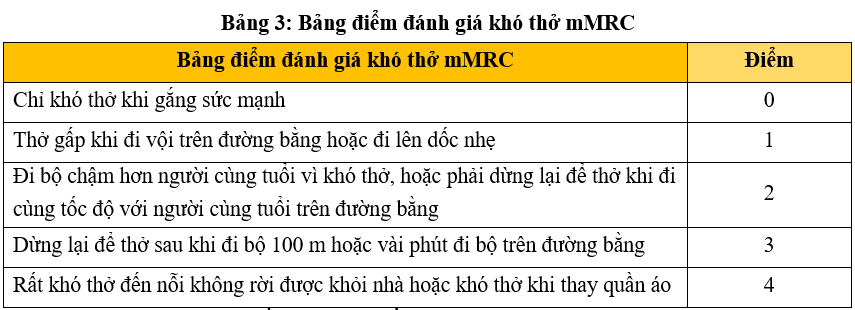 khó thở do copd - Image 4