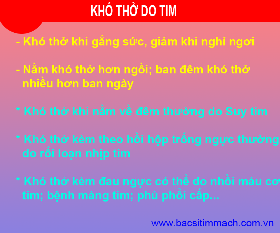 khó thở do tim - Image 5