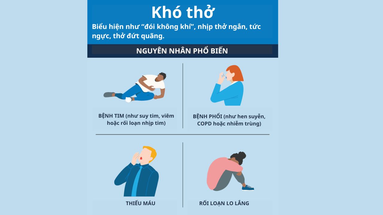 khó thở là dấu hiệu bệnh gì - Image 3
