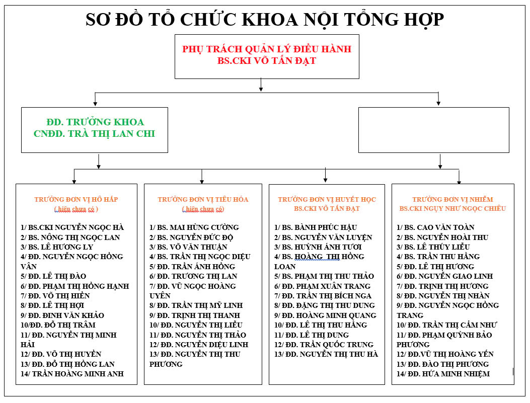 khoa nội tổng hợp phụ trách bệnh gì - Image 3
