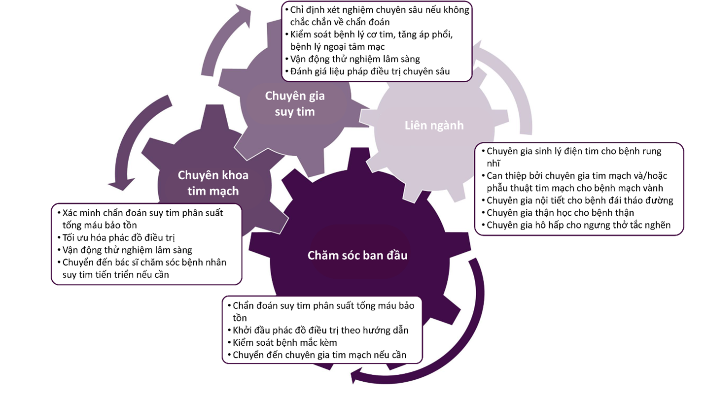 kiểm soát suy tim - Image 1