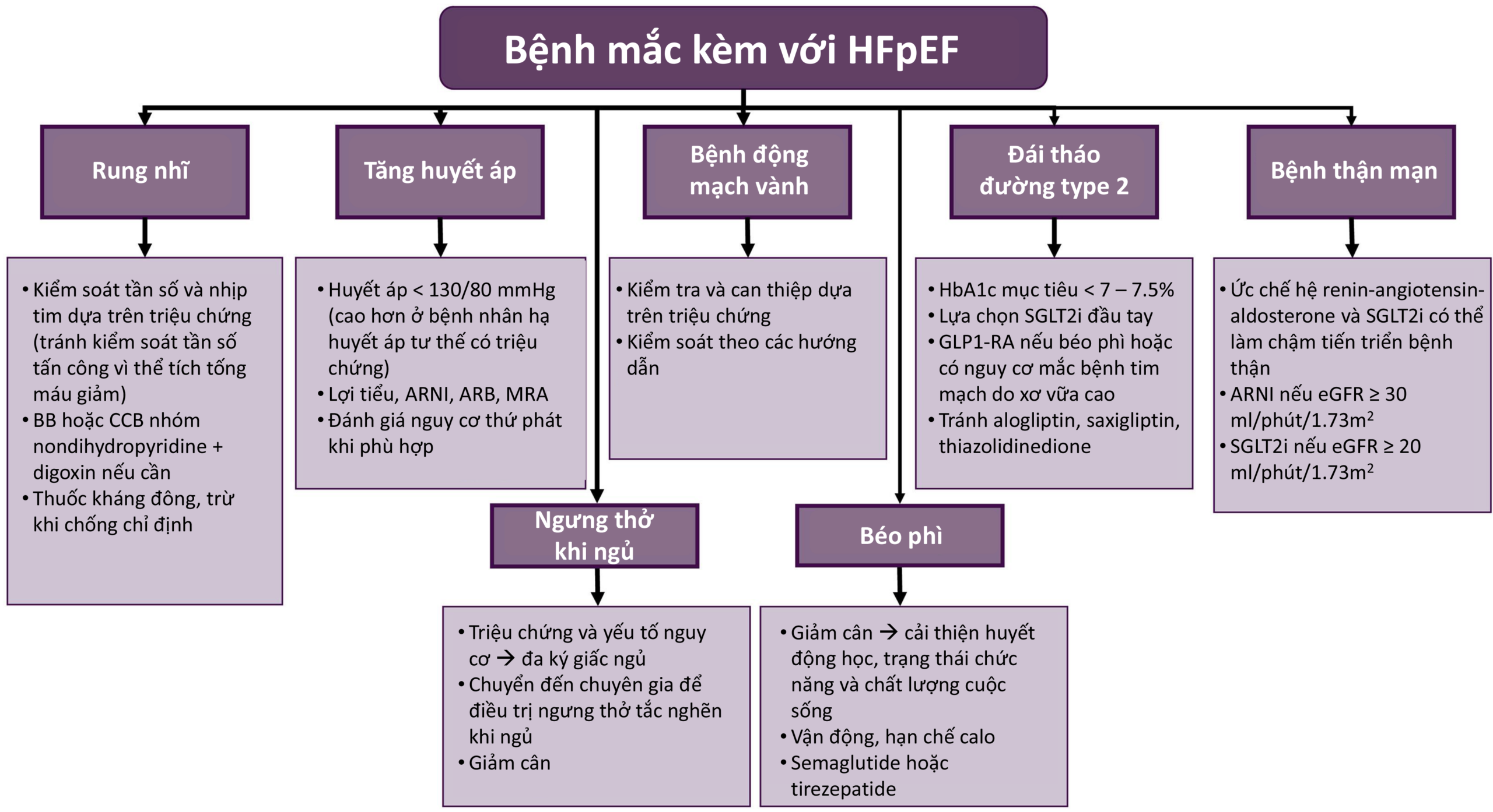kiểm soát suy tim - Image 3