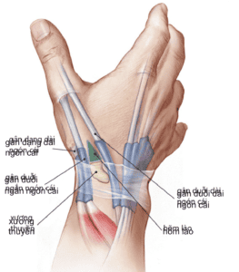 kỹ thuật chụp xương thuyền - Image 2