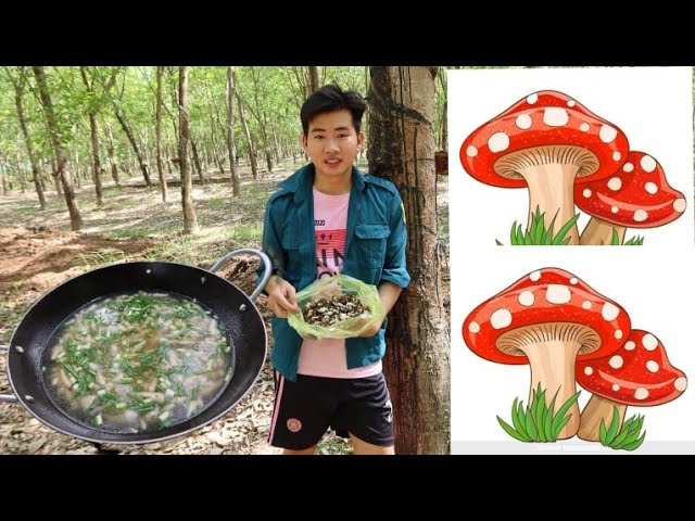 nam mi