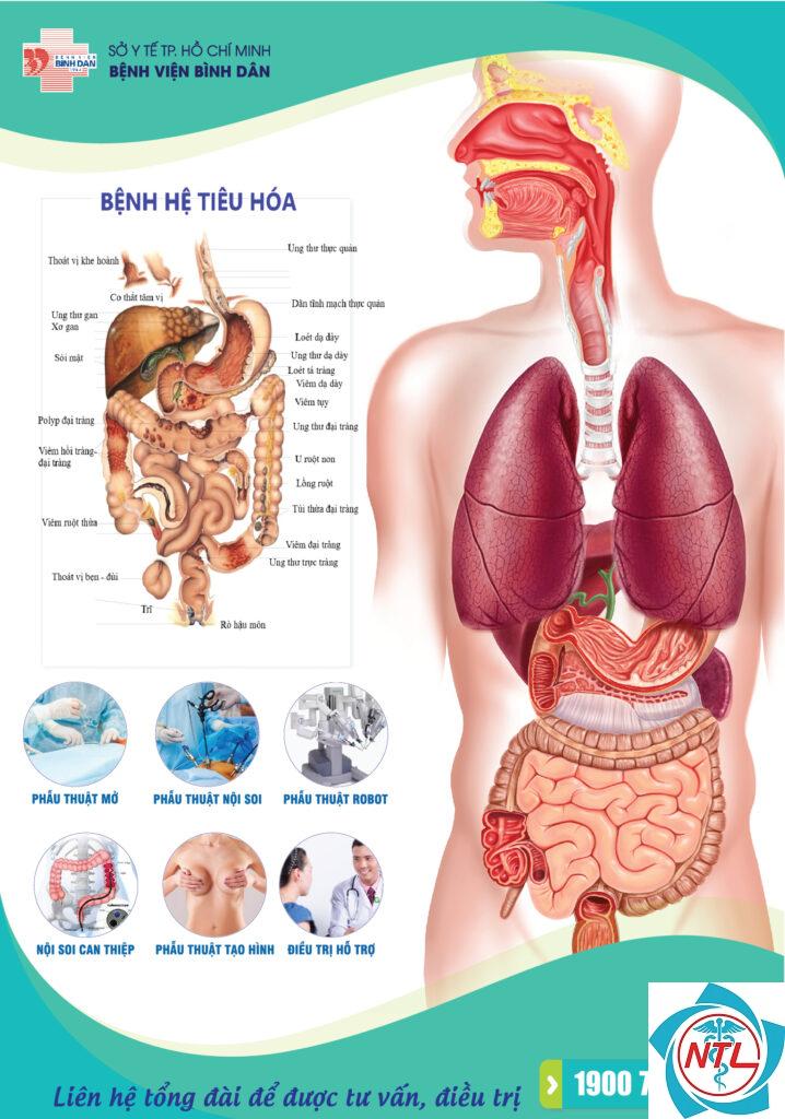 ngoại tiêu hóa là gì