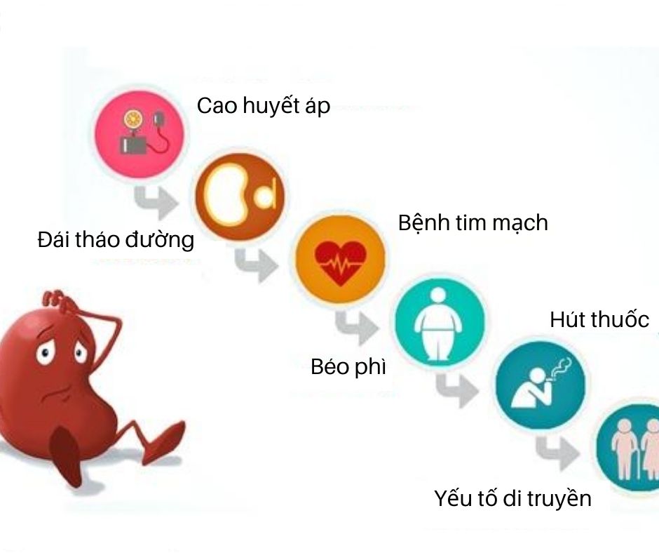 nguyên nhân bệnh thận mạn - Image 3