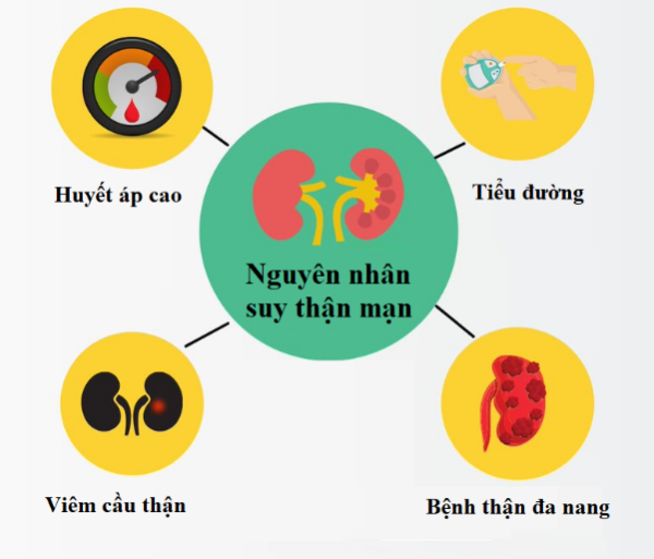 nguyên nhân bệnh thận mạn