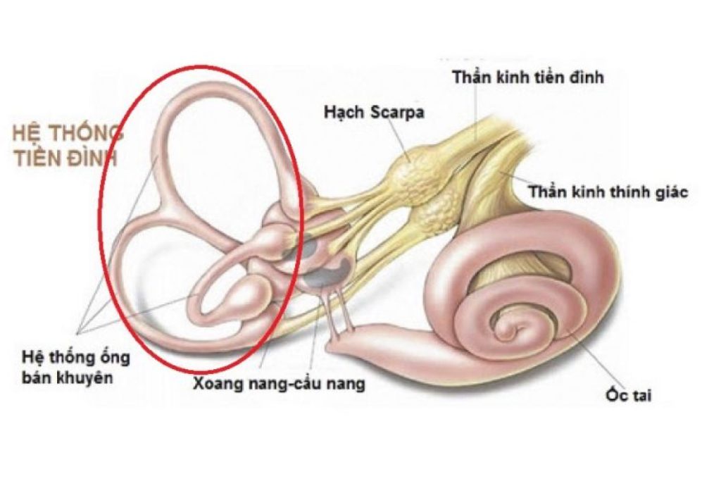 nguyên nhân chóng mặt