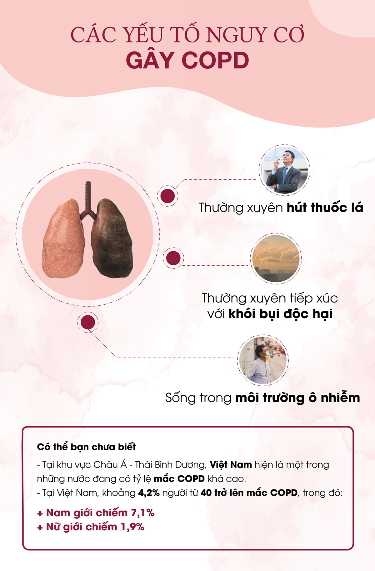 nguyên nhân copd - Image 2