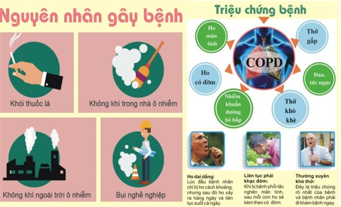 nguyên nhân copd - Image 3