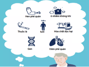 nguyên nhân copd