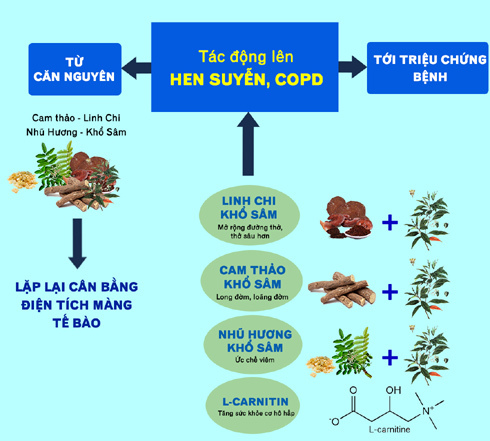 nguyên nhân copd - Image 5