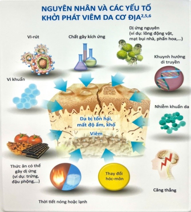 nguyên nhân của viêm da cơ địa - Image 4